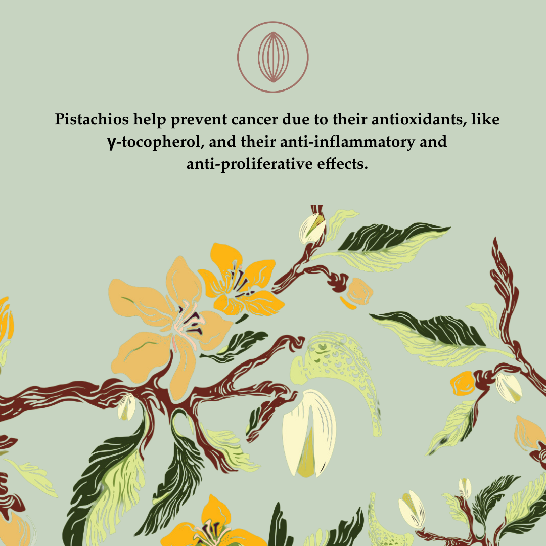 Sumewam Salted Pistachios – A Crunch Above the Rest - Image 8